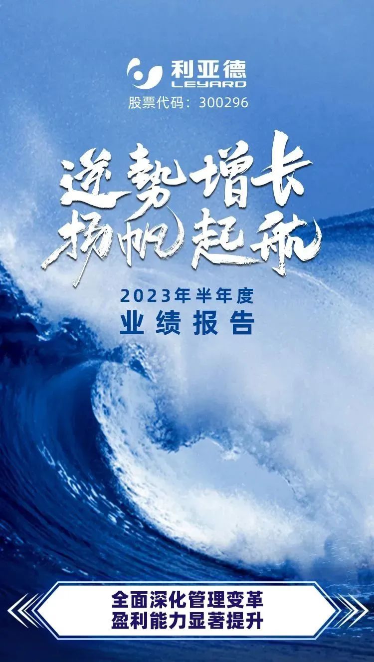 一图读懂K8凯发2023年半年报